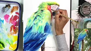 How I paint soft feathers for macaw parrot | full length video