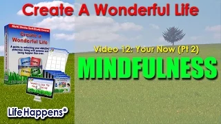 Video 12 - YOUR NOW - Mindfulness