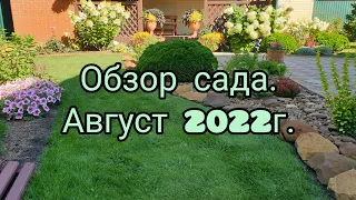 Обзор сада.Август 2022г.