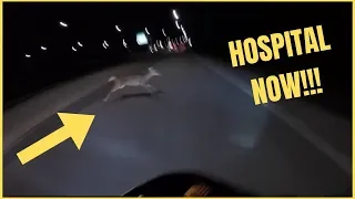 70MPH MOTORCYCLE VS. DEER!! {Worst Night of Riding EVER!}