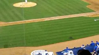 Cat on field Mariners at Royals game 8.5.09