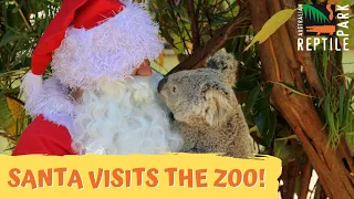 Santa Visits the Australian Reptile Park | Australian Reptile Park