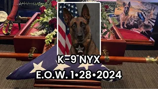 MY TRIBUTE TO OUR GIRL K9 NYX | R.I.P. WE WILL FOREVER MISS YOU GOOD GIRL E.O.W. 1/28/2024