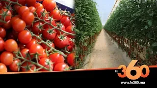 Le360.ma •  تعرفو على اكبر ضيعة لزراعة و تصدير الطماطم بالداخلة