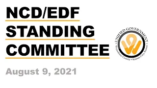 Aug. 9, 2021 5pm Neighborhoods & Community Dev/Economic Dev & Finance Standing Committee Meetings