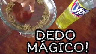 DINÂMICA!!! DEDO MÁGICO - COM ÁGUA, ORÉGANO E DETERGENTE