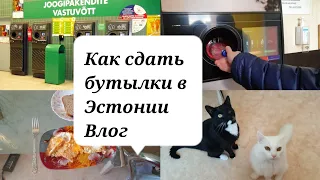 Как сдать бутылки в Эстонии?Сколько можно заработать сдавая бутылки?Наши коты.Кристина заболела.Влог