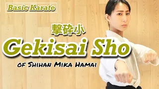 [FULL TUTORIAL] Gekisai Sho /  Kyokushin KATA / 極真空手 撃砕小