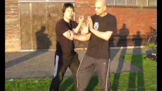 Leo Chinese Kung Fu - By Leo Au Yeung : Siu Lim Tao - Part 1 (小念頭-第一部)