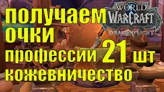 ПРОФЕССИЯ КОЖЕВНИЧЕСТВО СЕКРЕТНЫЕ СОКРОВИЩА | КАК ПОЛУЧИТЬ 21 ОЧКО WOW Dragonflight