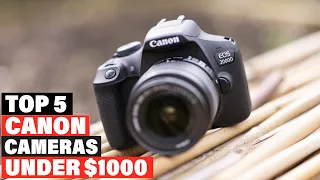 Best Canon Cameras Under $1000 2023 [Top 10 Picks Reviewed]