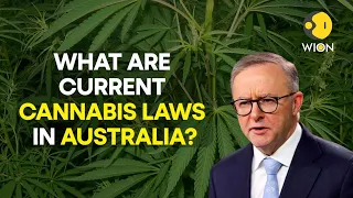 Is Australia all set to legalise cannabis? Watch all details here | WION Originals