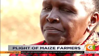 Plight of maize farmers in Uasin Gishu county