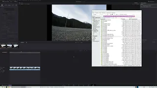 Как сделать в Linux Timelapse в Davinci Resolve 16 за 3 минуты