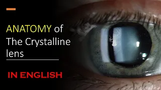 ANATOMY OF LENS | IN ENGLISH | CRYSTALLINE LENS | PARTS OF LENS