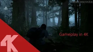 The Last of US Part 2 Ellie Gameplay E3 2018 in 4K