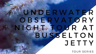 Busselton Jetty Tour Series: Underwater Observatory Night Tour