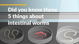 Did you know these 5 things about intestinal worms?