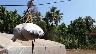 Ropeway transport upward