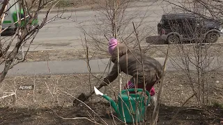 В Приморье пройдет субботник