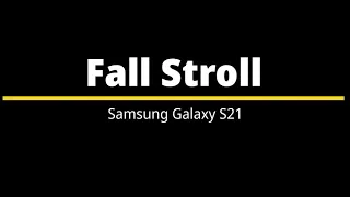 Fall Stroll – Samsung Galaxy S21 Ringtone
