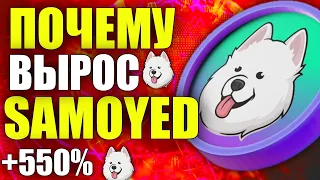 SAMOYED: +550% ЗА СУТКИ - ПОЧЕМУ ОН ВЗЛЕТЕЛ? ПРИЧИНА ПАМПА МОНЕТЫ SAMO (САМО, SAMOYEDCOIN)