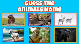 Guess 60 Animals in 5 second | Easy, Medium, Hard Level