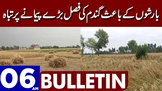 Wheat Crop Destroyed | Dunya News Bulletin 06:00 AM | 15 April 2023