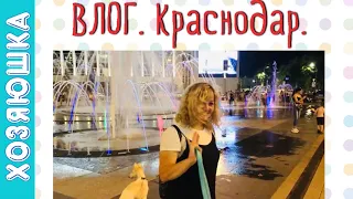 Поездка в Краснодар! "Венеция"! День рождения Сэмюэля! Диплом! Забор!