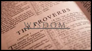 Absorb the Wisdom of Proverbs