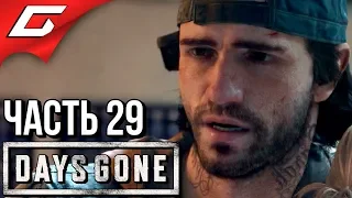 DAYS GONE (Жизнь После) ➤ Прохождение #29 ➤ ПРИЧИНЫ ЭПИДЕМИИ