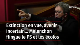 Extinction en vue, avenir incertain… Mélenchon flingue le PS et les écolos