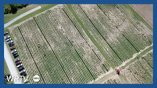 Strawberry farmer reports early harvest