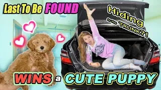 Last To Be Found Wins CUTE Baby PUPPY!! Tannerites Hide And Seek GAME!