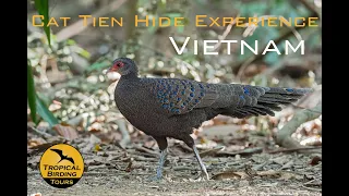 Cat Tien NP on the Tropical Birding Vietnam Birding with a Camera (BwC) tour