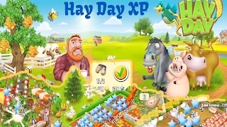 Hay Day - How to get XP - Experience to Level Up.