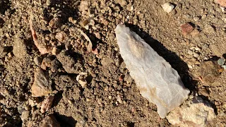 Luck of the Irish.. ancient arrowheads & fossils & shamrocks