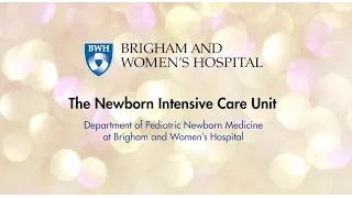 Newborn Intensive Care Unit (NICU) Video - Brigham and Women's Hospital