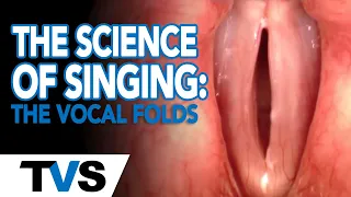 The Science of Singing: The Vocal Folds | Robert Lunte | Singing Lessons