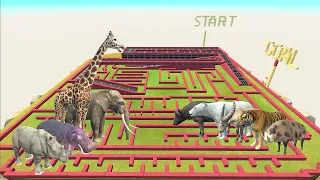 Animal speed race. A course that runs around the field! | Animal Revolt Battle Simulator