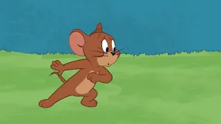 Tom & Jerry Show I Parfüm Boomerang