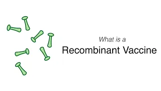 What is a Recombinant Vaccine?