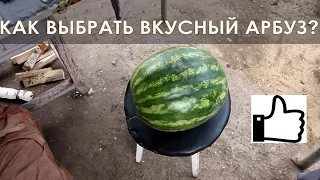 Как выбрать самый вкусный арбуз?  👍