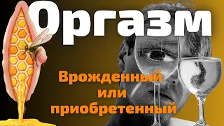 Почему Девушка Не Испытывает Оргазм. Развитие Сексуальности. Полигамия.