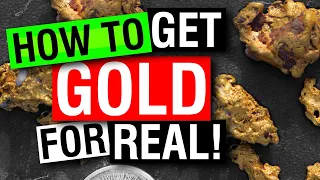 5 TIPS and THINGS YOU will NEED to find GOLD NUGGETS