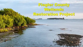 Flagler County Wetland Restoration Project