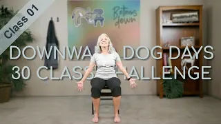 Chair Yoga - Dog Days Class 1 - 21 Minutes Seated
