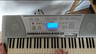 YAMAHA PSR-450 ATB - 9PM