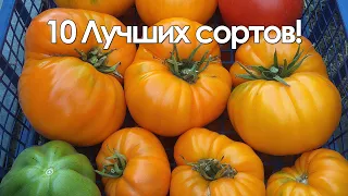 ЛУЧШИЕ ТОМАТЫ 2019 ГОДА! ОБЗОР ТОМАТОВ В МОЕЙ ТЕПЛИЦЕ!