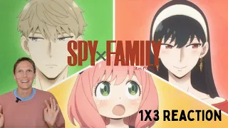 Prepare For The Interview | Spy x Family S1E3 Reaction